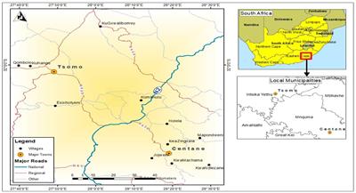 Smallholder farmers’ adoption and perception of communally established cattle feedlots for climate change resilience in the Eastern Cape, South Africa